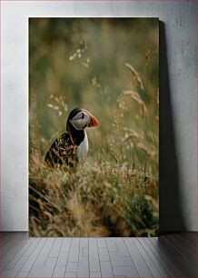 Πίνακας, Puffin Amongst Grass Puffin Amongst Grass