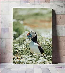 Πίνακας, Puffin in a Field of Flowers Puffin σε ένα χωράφι με λουλούδια