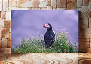 Πίνακας, Puffin on the Cliff Puffin on the Cliff