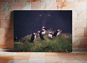 Πίνακας, Puffins on a Grassy Hill Puffins σε έναν λόφο με χορτάρι