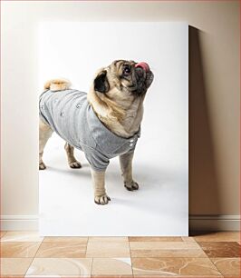 Πίνακας, Pug in Grey Sweater Pug in Grey πουλόβερ