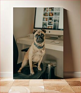 Πίνακας, Pug in the Office Pug στο γραφείο