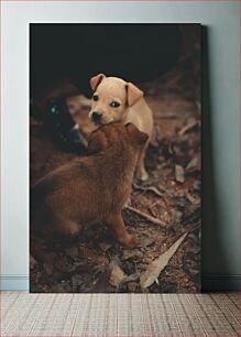 Πίνακας, Puppies Playing Κουτάβια που παίζουν