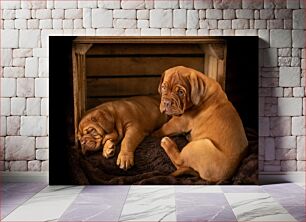 Πίνακας, Puppies Resting in a Wooden Crate Κουτάβια που ξεκουράζονται σε ένα ξύλινο τελάρο