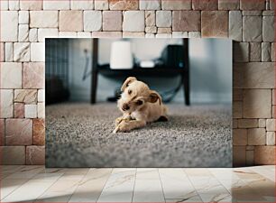 Πίνακας, Puppy Chewing a Bone Κουτάβι που μασάει ένα κόκαλο