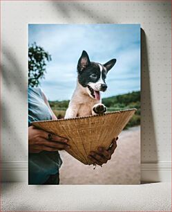 Πίνακας, Puppy in a Basket Κουτάβι σε ένα καλάθι