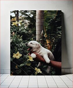 Πίνακας, Puppy in the Garden Κουτάβι στον κήπο