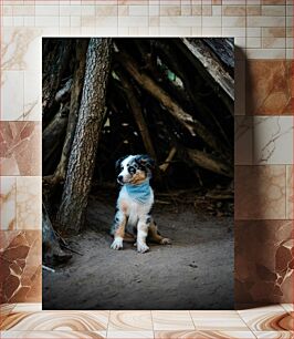 Πίνακας, Puppy in the Woods Κουτάβι στο δάσος