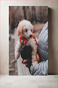 Πίνακας, Puppy in Warm Jacket Κουτάβι με ζεστό μπουφάν