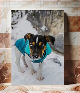 Πίνακας, Puppy in Winter Jacket Κουτάβι με χειμερινό μπουφάν