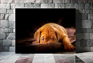 Πίνακας, Puppy Resting on Blanket Κουτάβι που στηρίζεται σε κουβέρτα