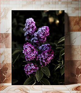 Πίνακας, Purple Blossoms in Bloom Purple Blossoms in Bloom