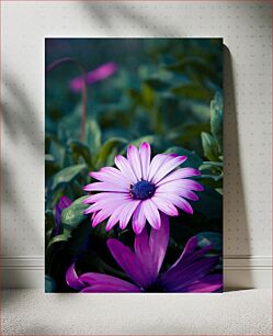 Πίνακας, Purple Flower in Bloom Μωβ λουλούδι σε άνθιση