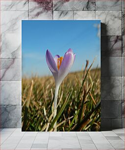 Πίνακας, Purple Flower in Grass Μωβ λουλούδι σε γρασίδι