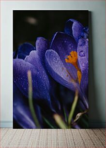 Πίνακας, Purple Flower with Dewdrops Μωβ λουλούδι με δροσοσταλίδες