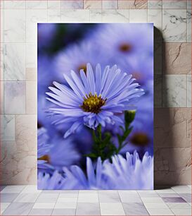 Πίνακας, Purple Flowers Μωβ λουλούδια