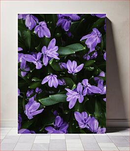 Πίνακας, Purple Flowers Μωβ λουλούδια