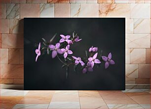 Πίνακας, Purple Flowers on Dark Background Μωβ λουλούδια σε σκούρο φόντο