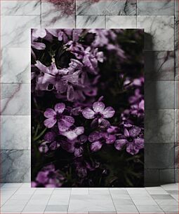 Πίνακας, Purple Flowers with Dew Μωβ λουλούδια με δροσιά