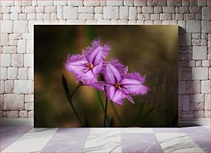 Πίνακας, Purple Fringed Flowers Μωβ λουλούδια με κρόσσια