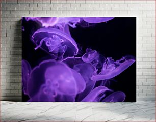Πίνακας, Purple Jellyfish in the Sea Μωβ μέδουσες στη θάλασσα