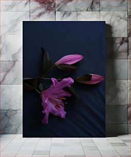 Πίνακας, Purple Lily on Dark Background Μωβ κρίνος σε σκούρο φόντο