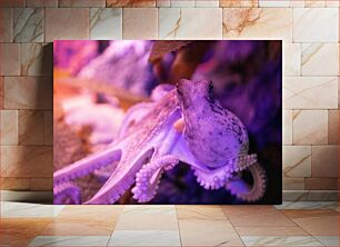 Πίνακας, Purple Octopus Μωβ χταπόδι