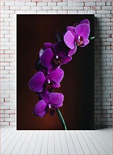 Πίνακας, Purple Orchid Μωβ ορχιδέα