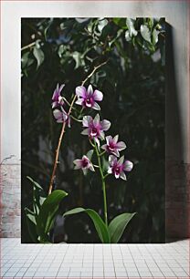 Πίνακας, Purple Orchids in the Shade Μωβ ορχιδέες στη σκιά
