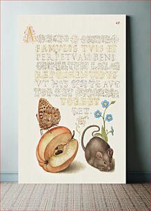 Πίνακας, Queen of Spain Fritillary, Apple, Mouse, and Creeping Forget Me Not from Mira Calligraphiae Monumenta or The Model Book of Calligraphy (1561–1596) by Georg Bocskay and Joris Hoefnagel