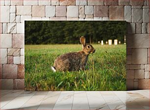 Πίνακας, Rabbit in a Field Κουνέλι σε ένα χωράφι