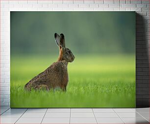 Πίνακας, Rabbit in Field Κουνέλι στο χωράφι