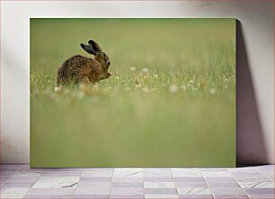 Πίνακας, Rabbit in the Field Κουνέλι στο χωράφι