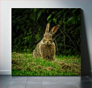 Πίνακας, Rabbit in the Field Κουνέλι στο χωράφι
