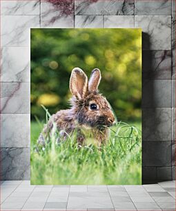 Πίνακας, Rabbit in the Grass Κουνέλι στο γρασίδι
