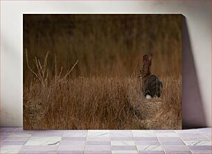 Πίνακας, Rabbit in the Meadow Κουνέλι στο Λιβάδι