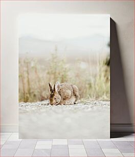 Πίνακας, Rabbit in the Wild Κουνέλι στην άγρια ​​φύση