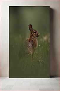 Πίνακας, Rabbit in the Wild Κουνέλι στην άγρια ​​φύση