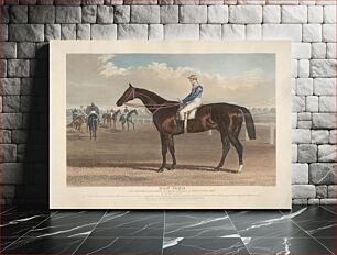 Πίνακας, Racing : "Don John" / Winner of The Great St. Leger Stakes at Doncaster, 1838, rode W. Scott. / Bred in 1835, by Mr. Garforth .