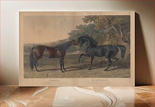Πίνακας, [Racing] The British Stud: Pl. 5. (lower left) "Rebecca" / Bred by R. Cock, Esqr. in 1831 ... ; (lower right) "Muley Moloch" / Bred by the Duke of Cleveland, in 1830 .