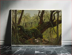 Πίνακας, Rain Forest, Jamaica, Frederic Edwin Church