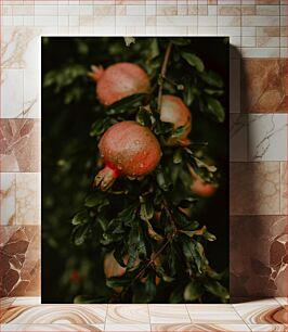 Πίνακας, Rain-kissed Pomegranates Ροδια βροχερα