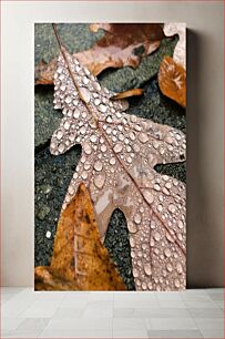Πίνακας, Raindrops on Autumn Leaves Σταγόνες βροχής στα φθινοπωρινά φύλλα