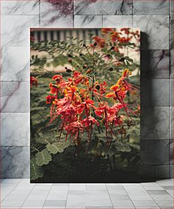 Πίνακας, Raindrops on Scarlet Flowers Σταγόνες βροχής σε Scarlet Flowers