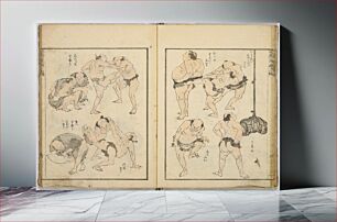 Πίνακας, Random sketches by Hokusai volumes 1 to 11