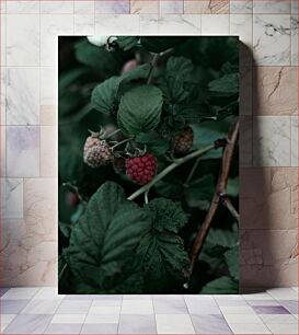 Πίνακας, Raspberries in the Foliage Σμέουρα στο φύλλωμα
