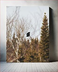 Πίνακας, Raven in a Forest Κοράκι σε ένα δάσος