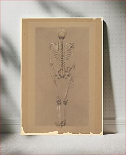 Πίνακας, Rear View of a Skeleton (1848) by Daniel Huntington