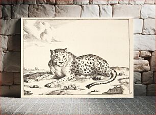 Πίνακας, Reclining leopard, facing left by Marcus de Bye
