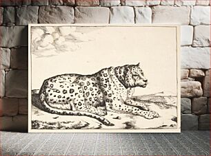 Πίνακας, Reclining leopard, facing right by Marcus de Bye